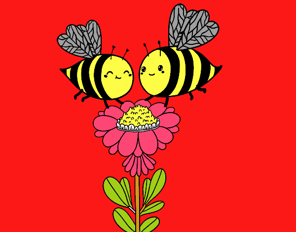 Pareja de abejas