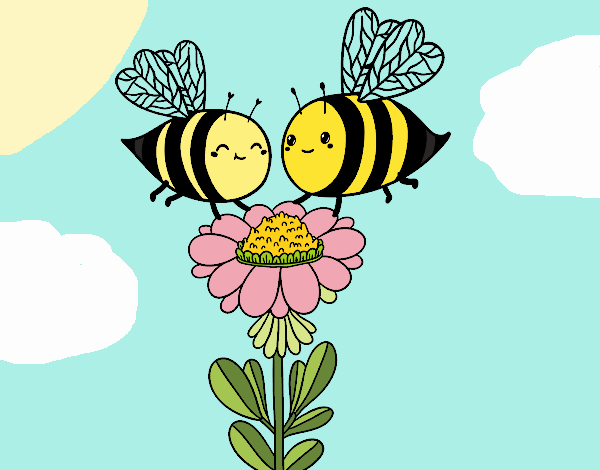 Pareja de abejas