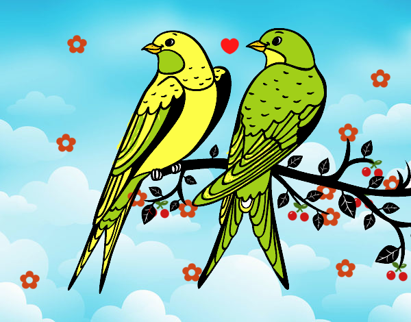 Pareja de pájaros