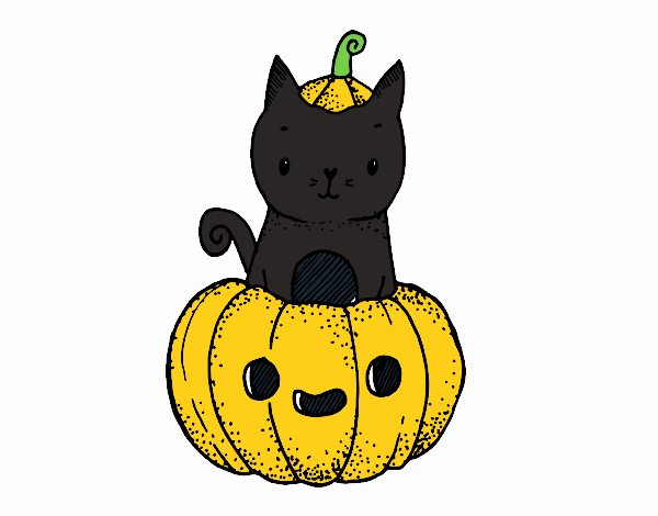 GATITO HALLOWEEN