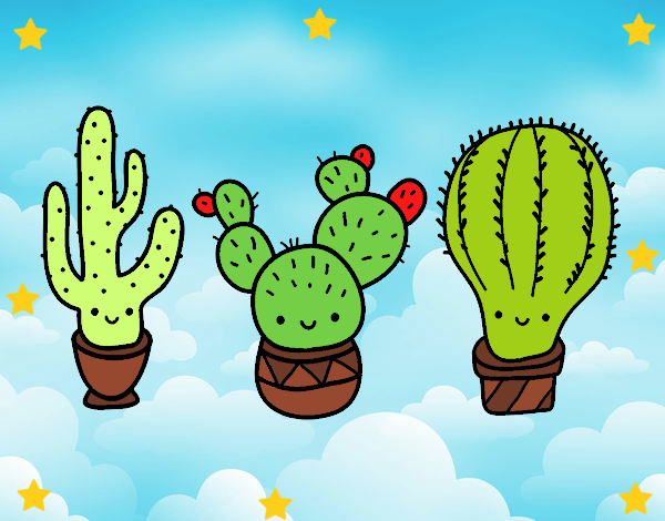 3 mini cactus