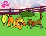 Applejack y Winona