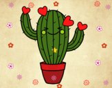 Cactus corazón