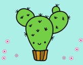 Cactus nopal