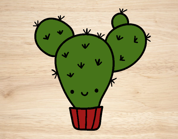 Cactus nopal