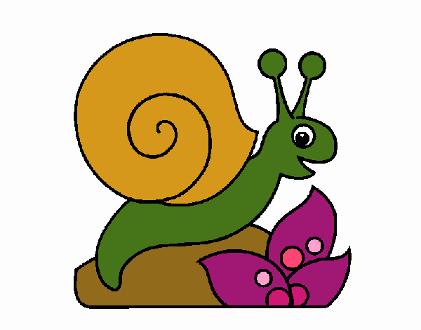 Caracol