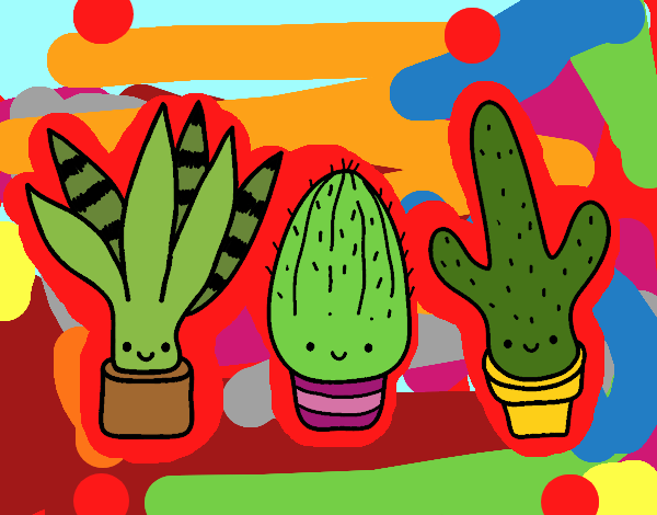 minis cactus