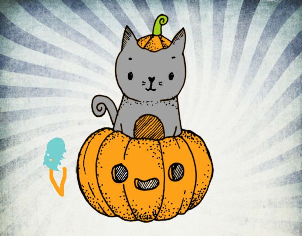 Un gatito de Halloween