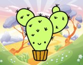 Cactus nopal