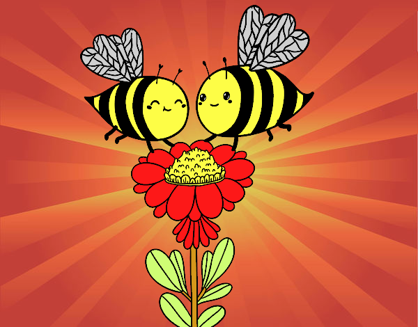 Pareja de abejas