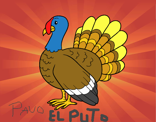 Pavo el puto