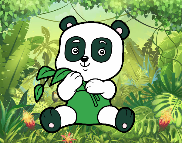 Un oso panda