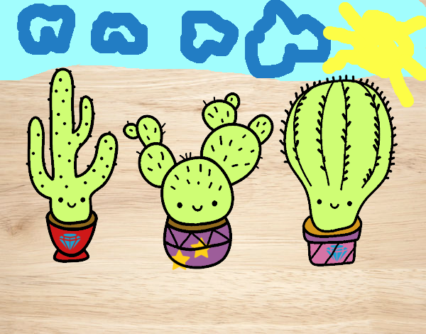 3 mini cactus