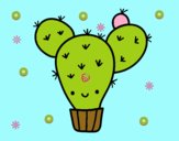 Cactus nopal