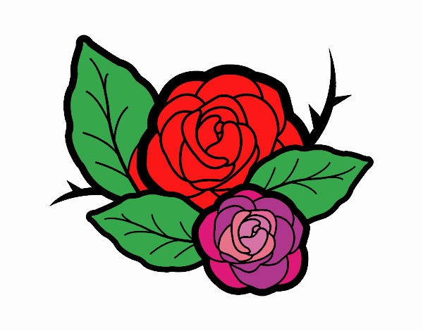 Dos rosas