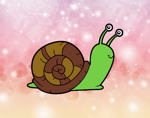 caracol