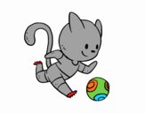 Gato jugando a fútbol