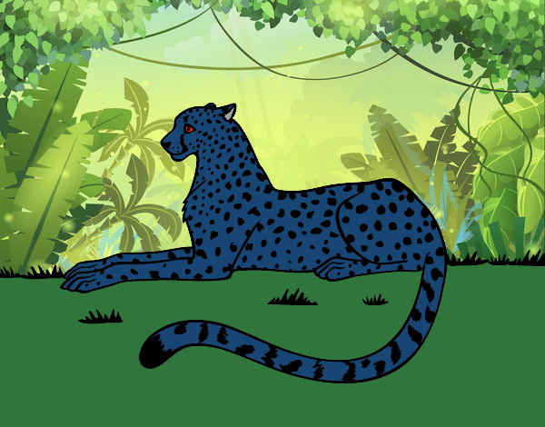 leopardo negro de la selva