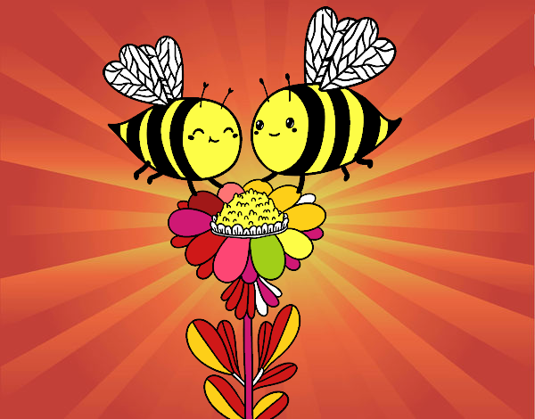 Pareja de abejas