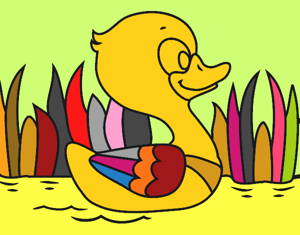 Patito de río