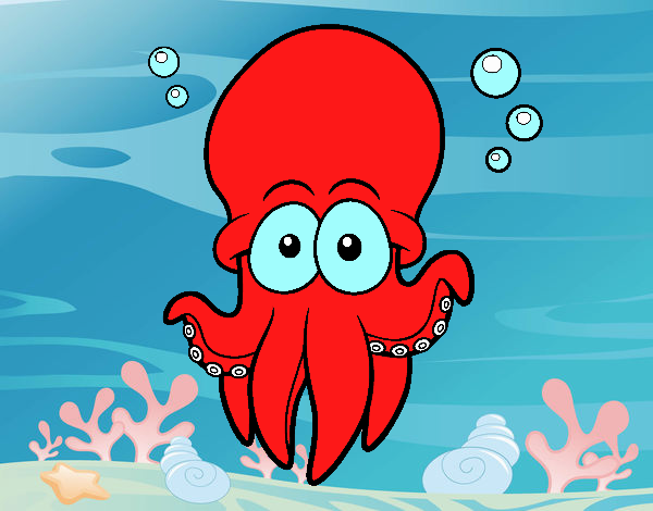 Pulpo rojo