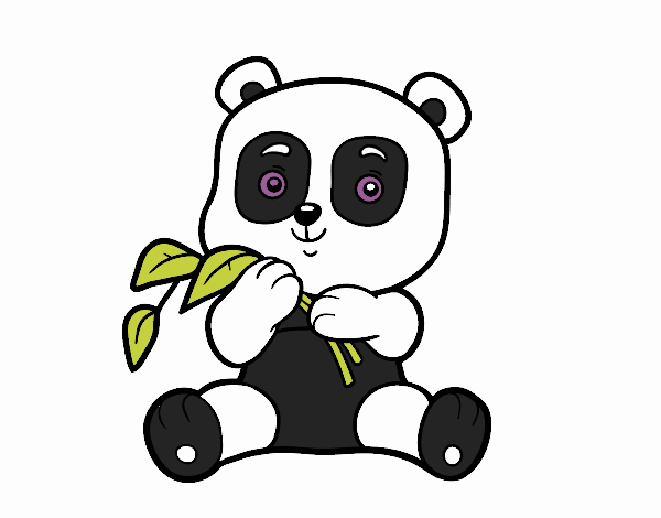 Un oso panda