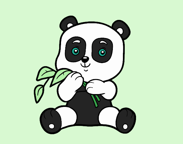 Un oso panda