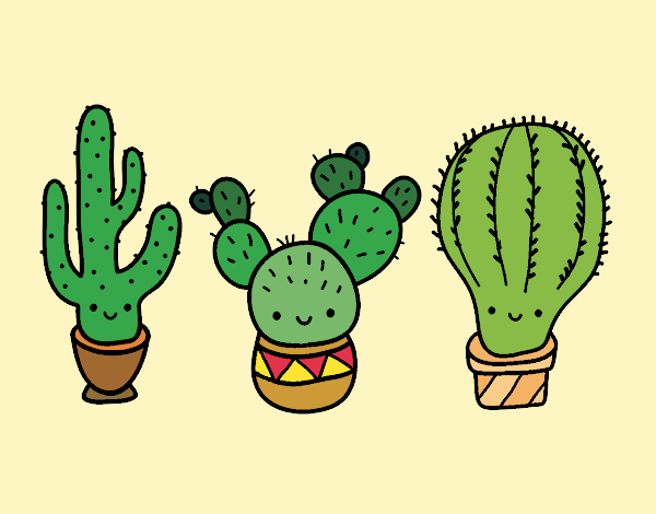 3 mini cactus