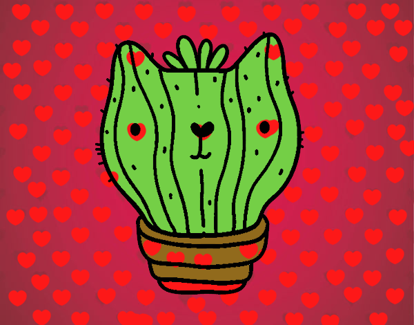 Cactus gato