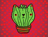 Cactus gato