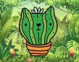 Cactus gato