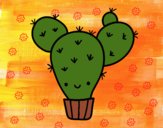 Cactus nopal