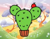 Cactus nopal