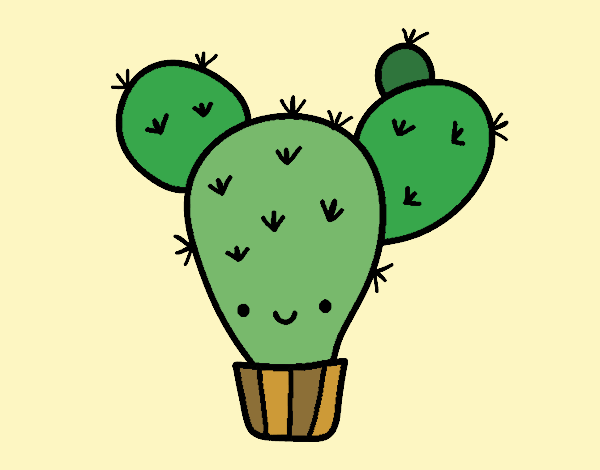 Cactus nopal