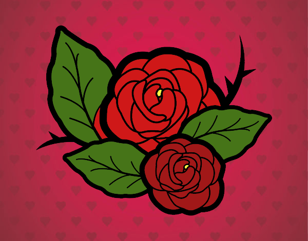 Dos rosas