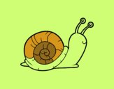 El caracol