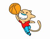 Gato jugando a baloncesto