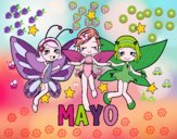 Mayo