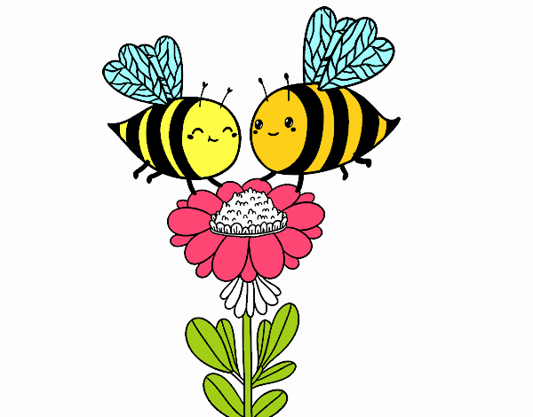 Pareja de abejas