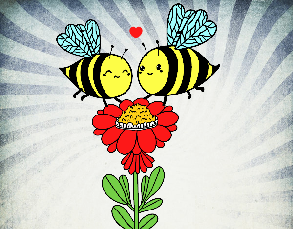 Pareja de abejas