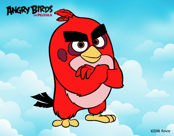 Red De Angry Birds