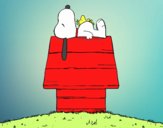 Snoopy durmiendo