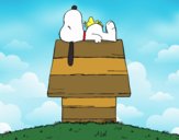 Snoopy durmiendo