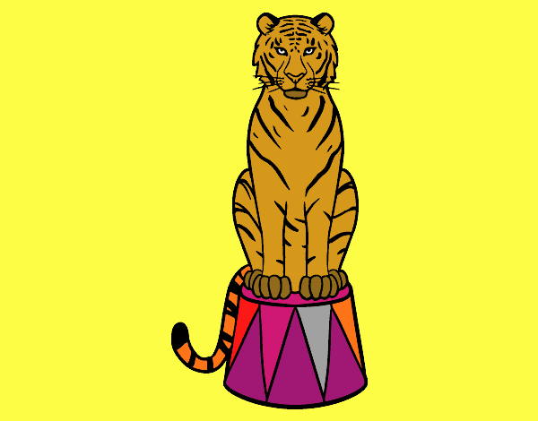 Tigre de circo