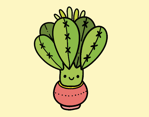 Un cactus con flor