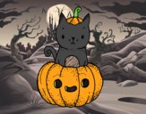 Un gatito de Halloween