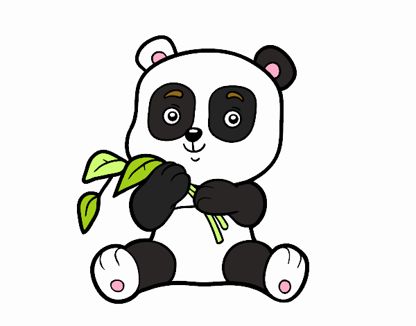 Un oso panda