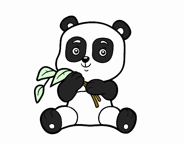 Un oso panda