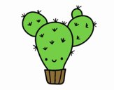 Cactus nopal