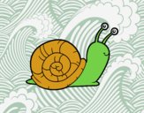 El caracol